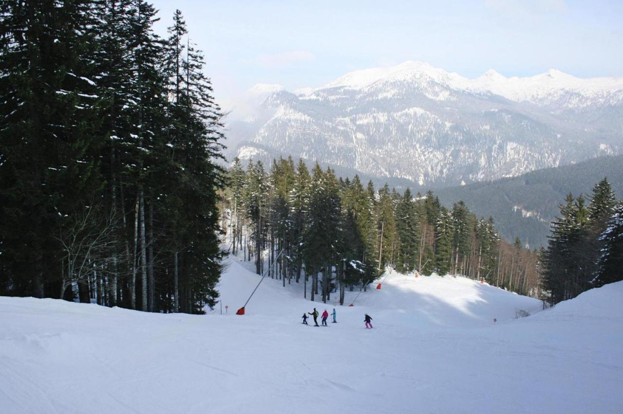 Holiday Resort Altaussee, Lichtersberg Εξωτερικό φωτογραφία